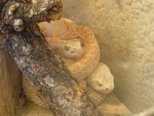 rimg1417.jpg rimg1417.jpg