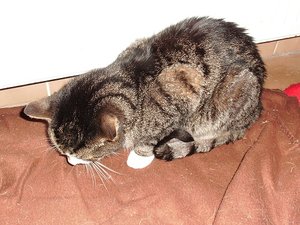 Halb fÃ¼nf 011.JPG