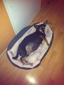 IMG_2192.JPG IMG_2192.JPG