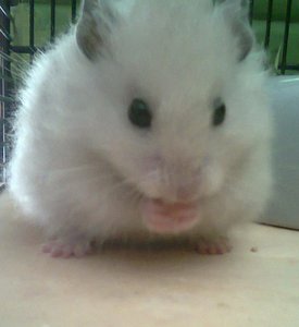 PAULi .rfghjkjhgf.jpg