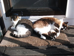 H + C in der Sonne.jpg