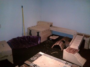 kaninchenzimmer1.jpg