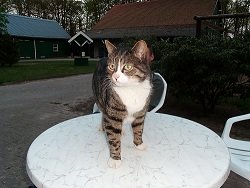 sammy und halb5 034.JPG