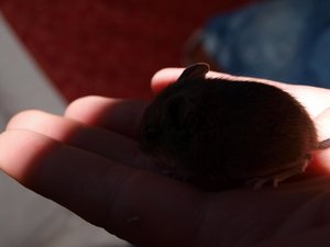 PB163685 (640x480).jpg