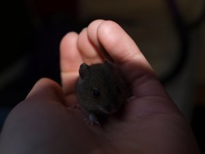 PB163680 (640x480).jpg