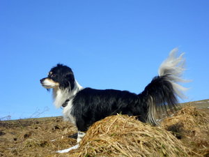 8783345wdd.jpg 8783345wdd.jpg