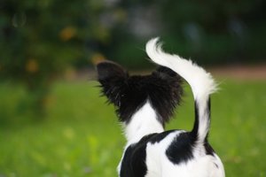 02. 08 (18).jpg 02. 08 (18).jpg