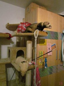 K640_18.11.11 Fritten zu Besuch.JPG