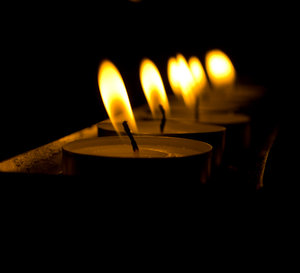 P8092559.jpg P8092559.jpg