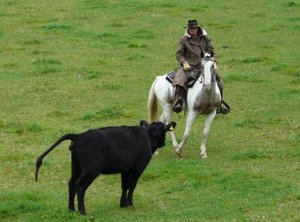 phoca_thumb_l_p1150914_799x590.jpg phoca_thumb_l_p1150914_799x590.jpg