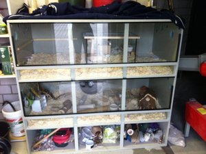 img_4210.jpg img_4210.jpg