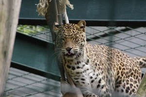 IMGP0625.JPG IMGP0625.JPG