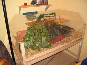 Vivarium_12.jpg Vivarium_12.jpg