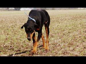 dsc08567be.jpg dsc08567be.jpg