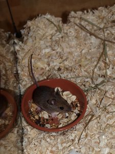 PB243710 (480x640).jpg