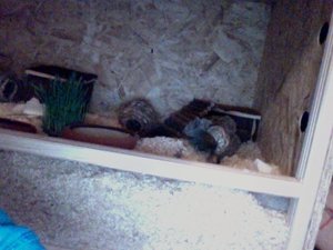 Foto am 25-11-2011 um 22.27.jpg