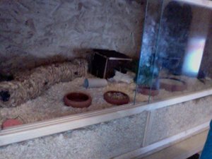 Foto am 25-11-2011 um 22.27 #3.jpg