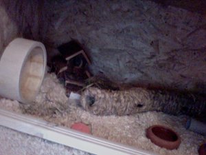 Foto am 25-11-2011 um 22.28.jpg