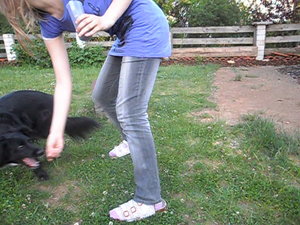 li 482.jpg li 482.jpg