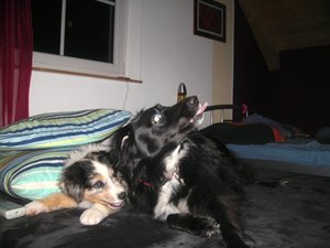 beim rumblödeln11.JPG beim rumblödeln11.JPG