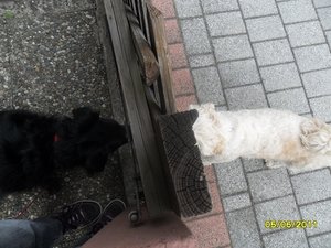 li 369777777777777777777777.jpg