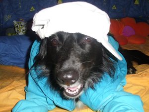 pilz 0056666666666666666666.jpg