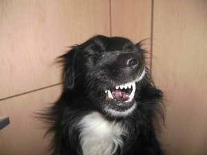 Bild 084888888888888888888.jpg