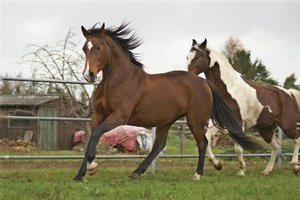 308657_228897077171183_100001526776055_612556_1203256060_n.jpg 308657_228897077171183_100001526776055_612556_1203256060_n.jpg