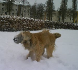 Colmar 2.JPG Colmar 2.JPG