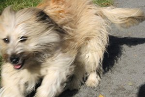 Colmar 1.JPG Colmar 1.JPG