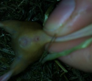 IMG081.jpg IMG081.jpg