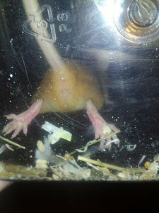 IMG077.jpg IMG077.jpg