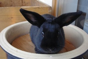 DSC06897 - Kopie.JPG