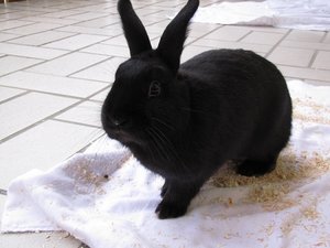 IMG_1936 - Kopie.JPG