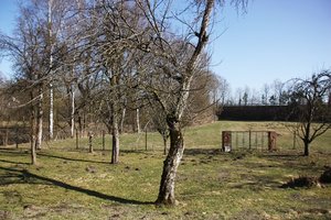 IMG_1989kl5.JPG IMG_1989kl5.JPG