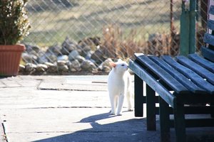 IMG_1935kl1.JPG IMG_1935kl1.JPG