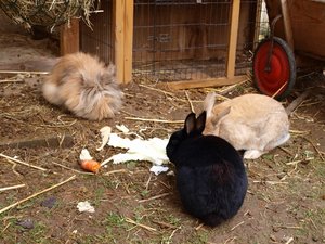 PC053766 (640x480).jpg