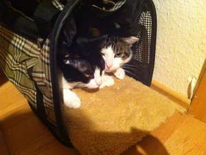 IMG_0886.jpg IMG_0886.jpg