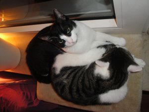 DSC03482.jpg DSC03482.jpg