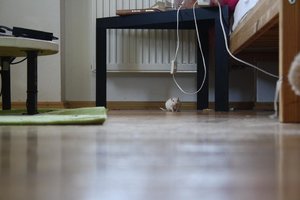 IMG_5362.JPG IMG_5362.JPG