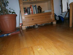 PB080147.JPG PB080147.JPG