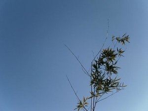 stoneHill ranch 2011 004.JPG