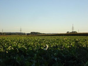 K640_DSC08335.JPG K640_DSC08335.JPG