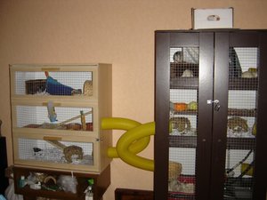 rattischrank anbau.jpg