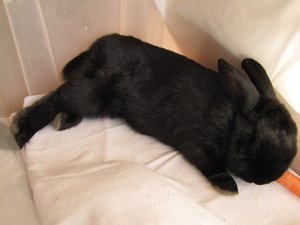 IMG_1955 - Kopie.JPG