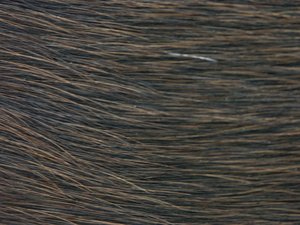 20111203(Fell).jpg 20111203(Fell).jpg