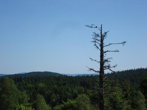 K640_DSC05549.JPG K640_DSC05549.JPG