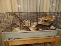 DSC01367 paint klein.JPG