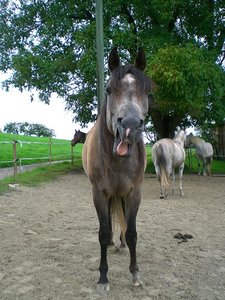 CIMG6628.JPG CIMG6628.JPG