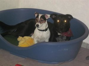 Bild 118 (Small).jpg